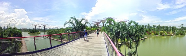 大桥横跨海湾入口的花园。
