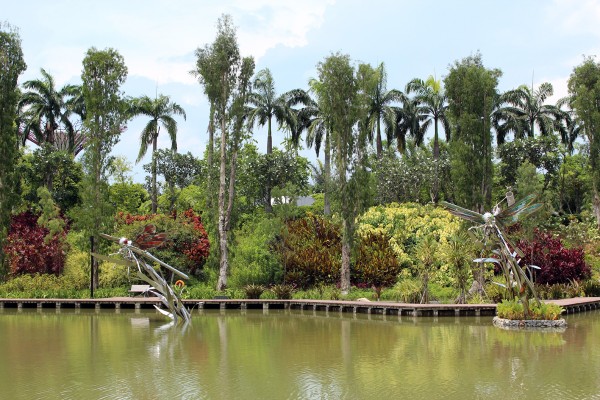 湖入口附近有两个美丽的钢铁蜻蜓雕像。