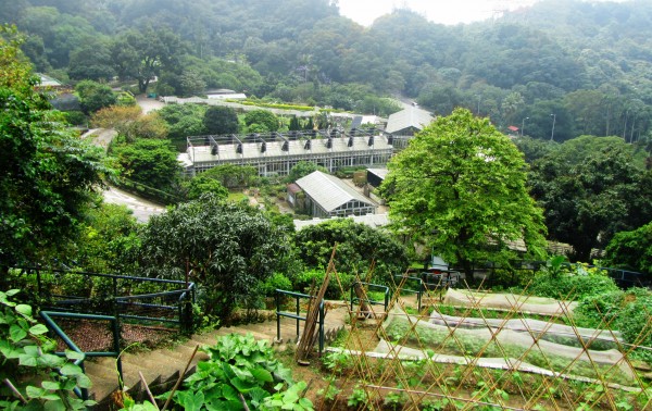 香港嘉道理农场及植物园。图片:布鲁斯·尼克松