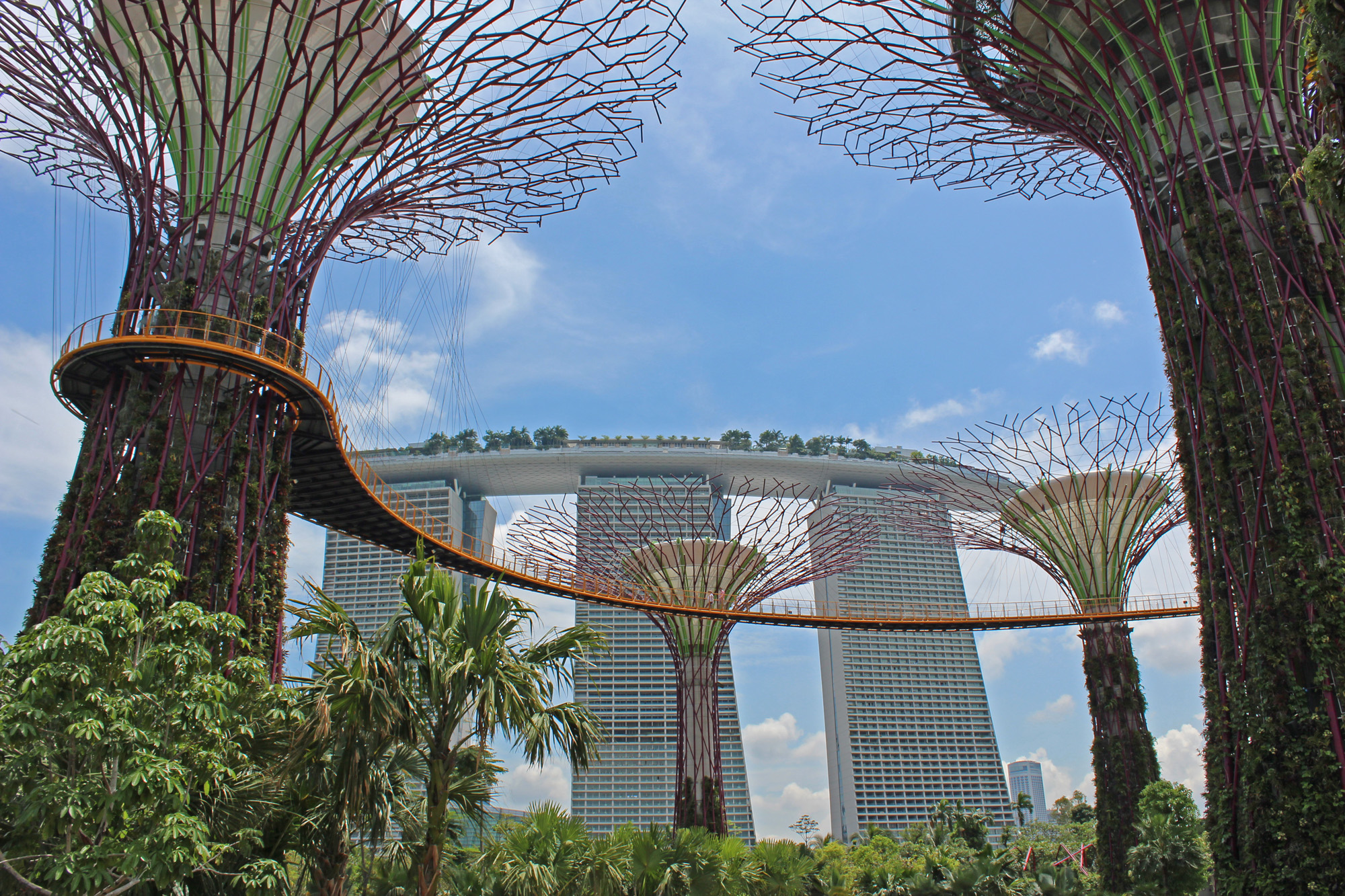 新加坡礁边的花园